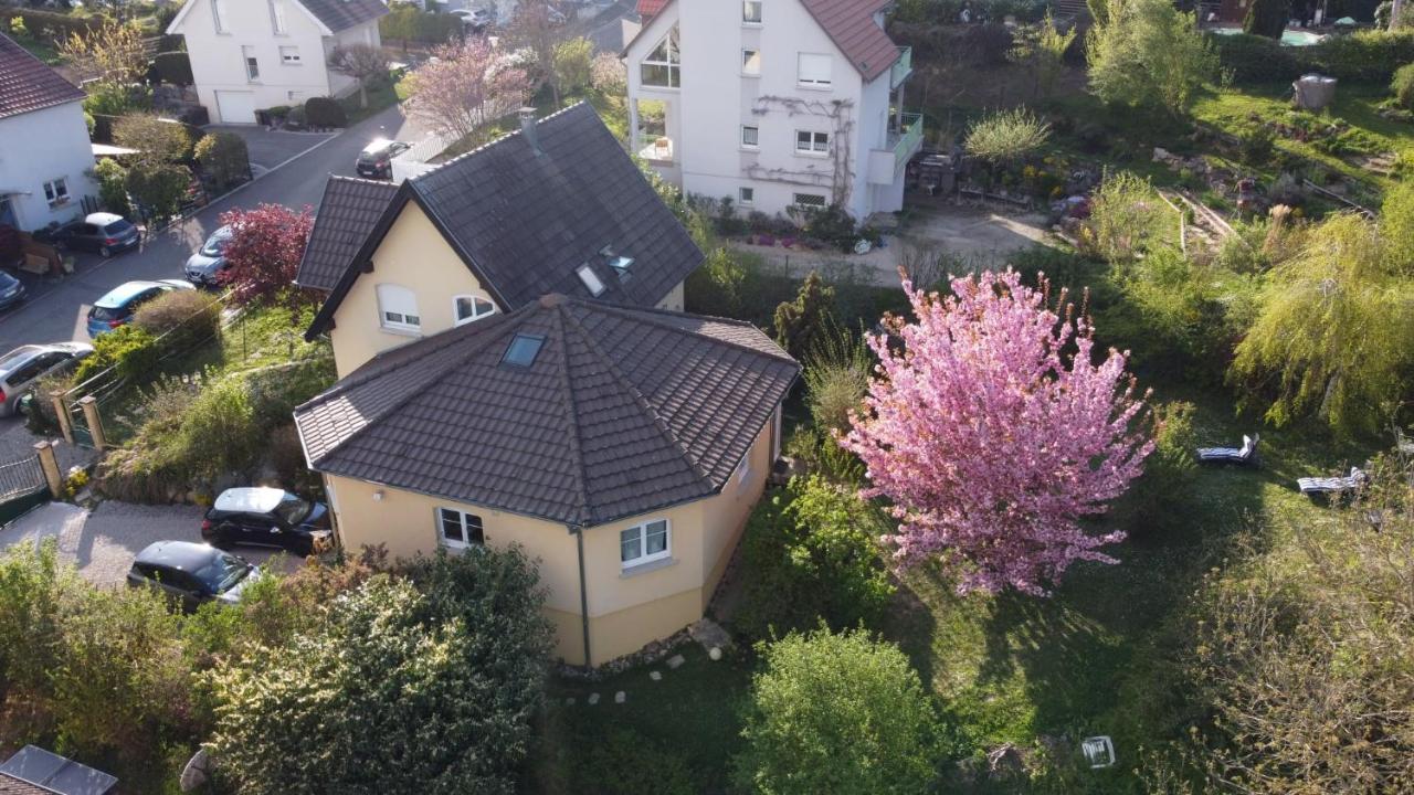 Апартаменты Chez Olivier Et Josette Sur Mulhouse Sud Illfurth Экстерьер фото